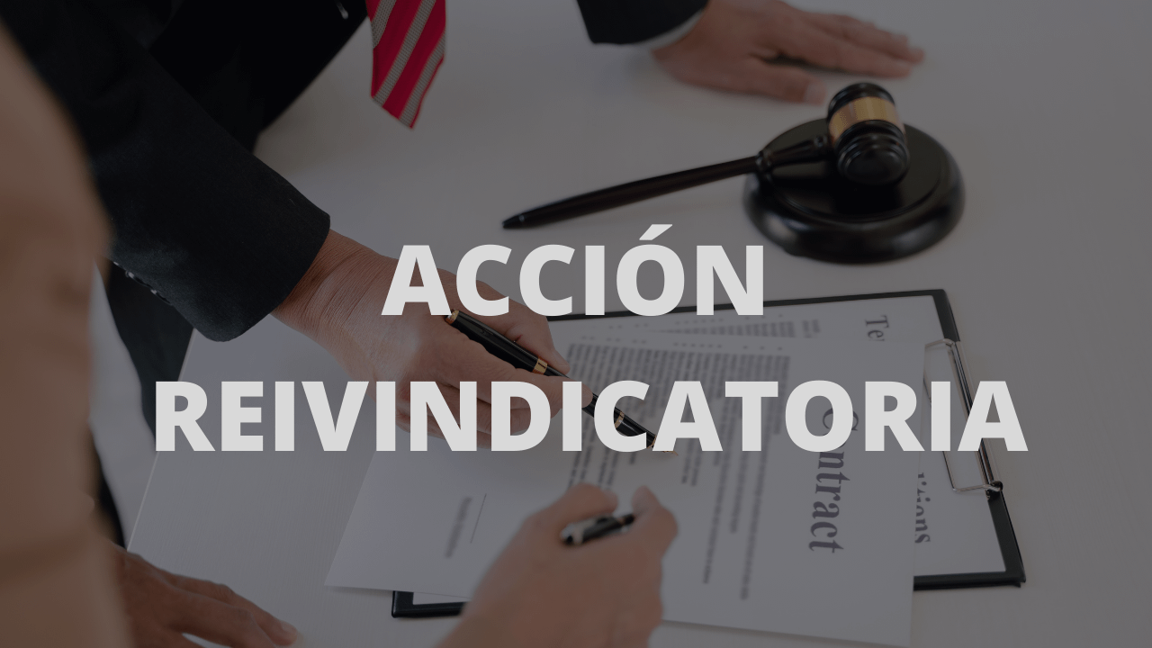 Ejercicio de la acción reivindicatoria por algunos comuneros de una cosa singular en favor de la comunidad